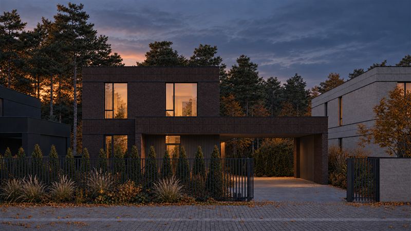 Dusk option