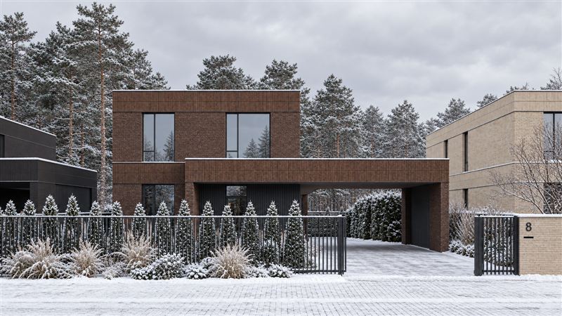Winter option